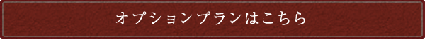 オプションプランはこちら