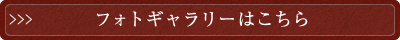 フォトギャラリーはこちら